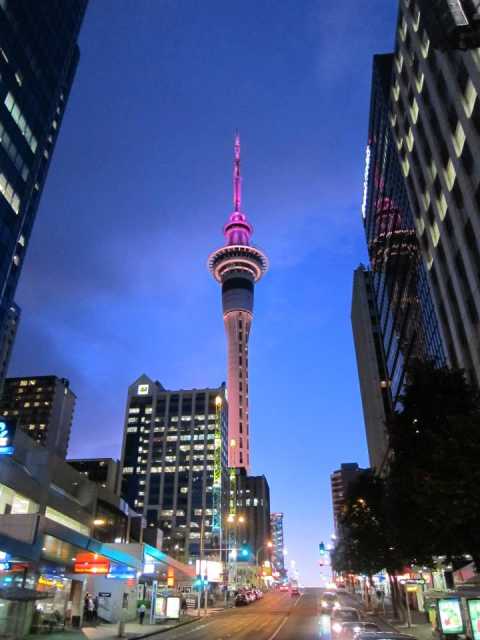 Sky Tower Auckland Cost