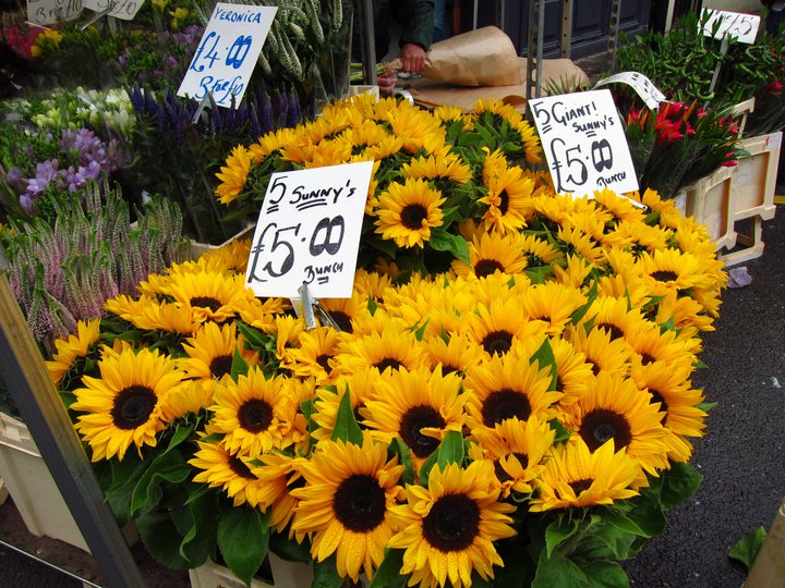 World Colours – Yellow (Part 2)