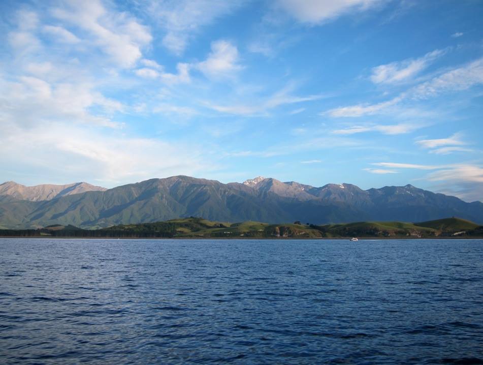 The Freshest Lunch in Kaikoura