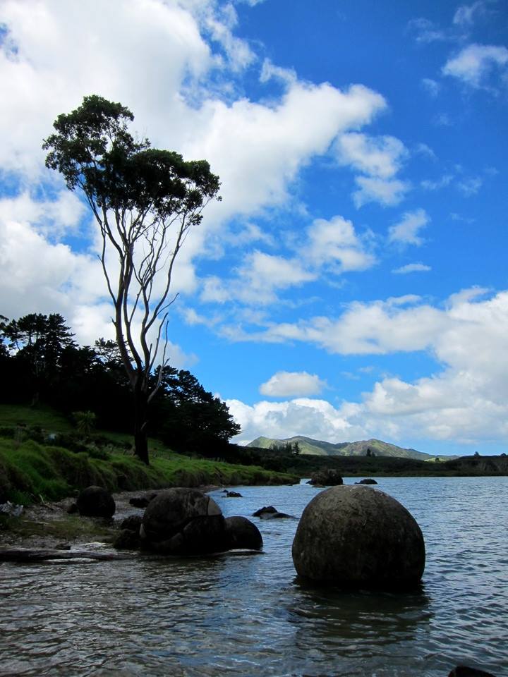 Koutu boulders
