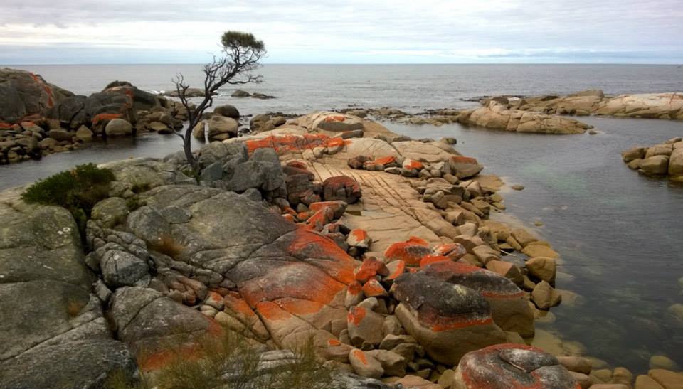 Tasmania's east coast