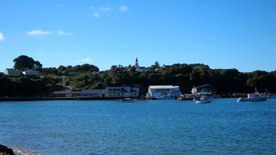 The 6 Best Things to do on Stewart Island