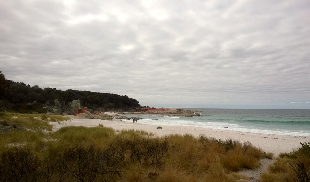 A Guide to Covering Tasmania's East Coast in a Day 1