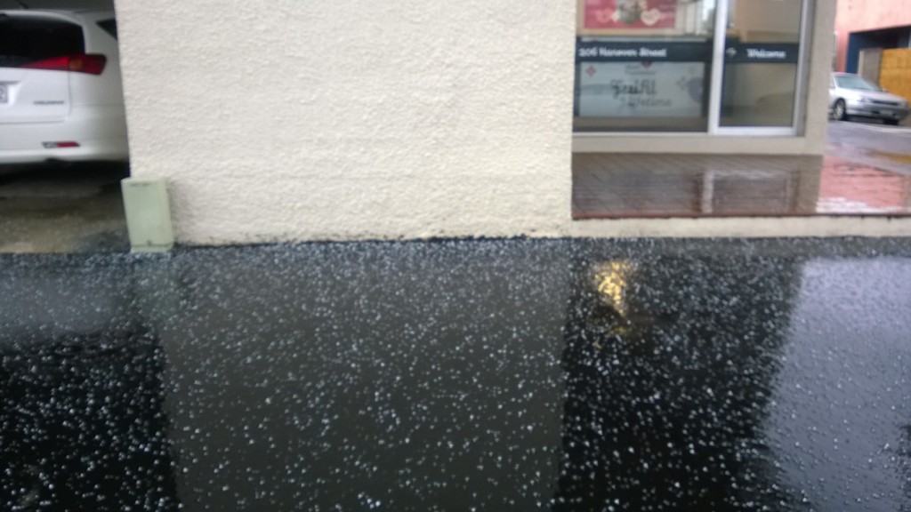 Dunedin hail