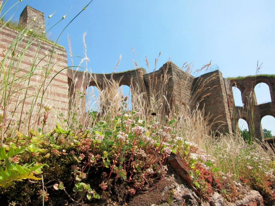 6 Hours in Trier: The Ancient Roman City’s Top Draws