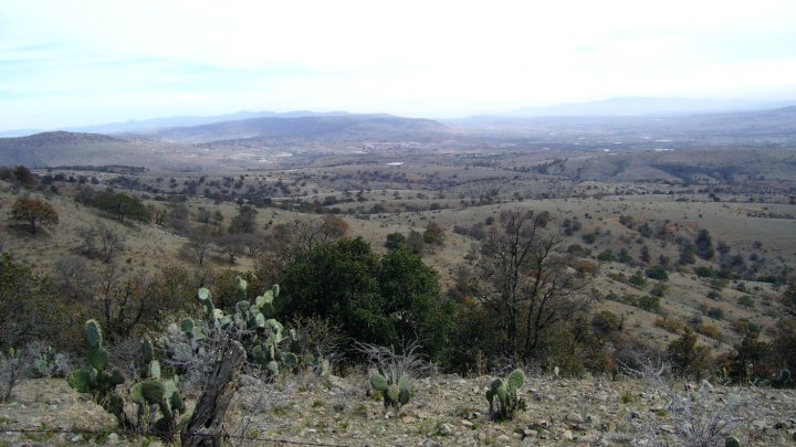 Rally Mexico