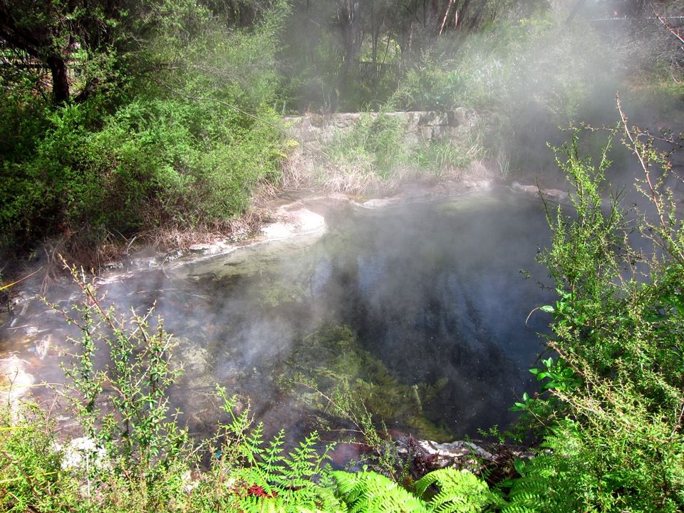 Kuirau Park, Rotorua