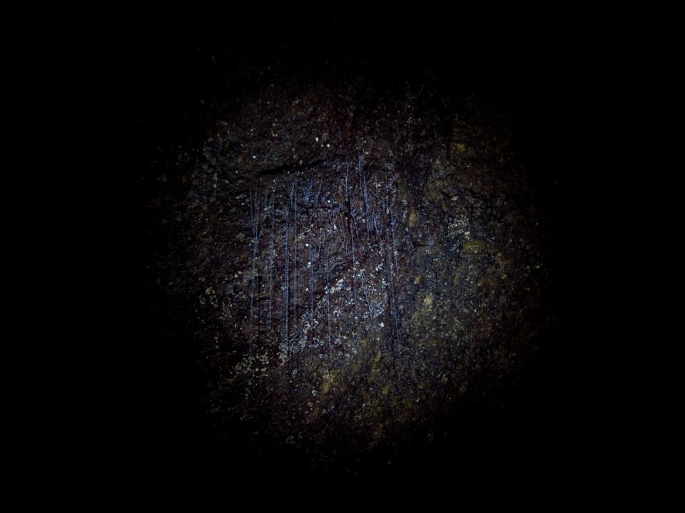 Abbey Caves: Sneaky Tips on Photographing Glow Worms