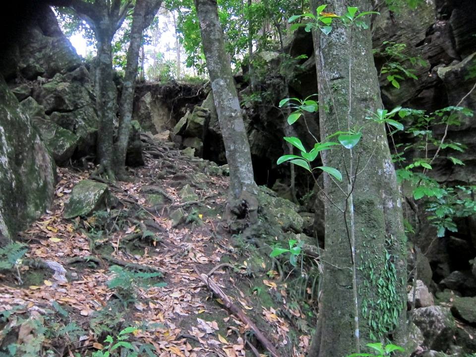 Abbey Caves