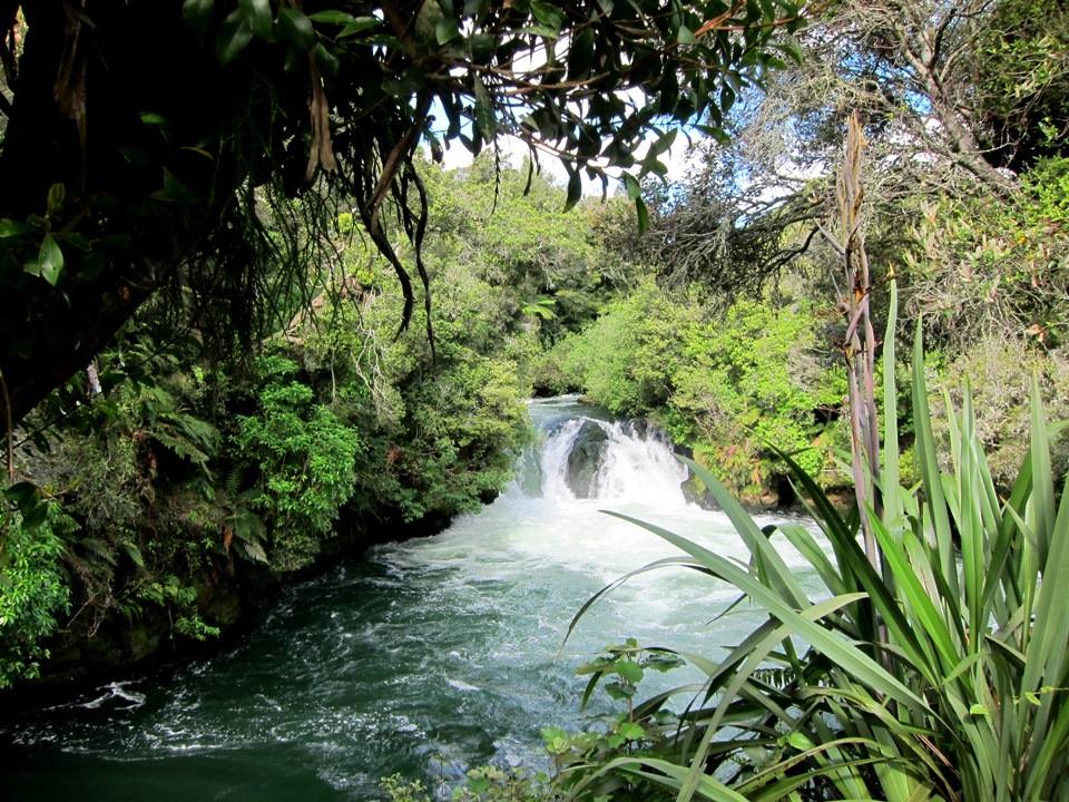 Taking the Plunge at Okere Falls: 2-Second Cheap Thrills