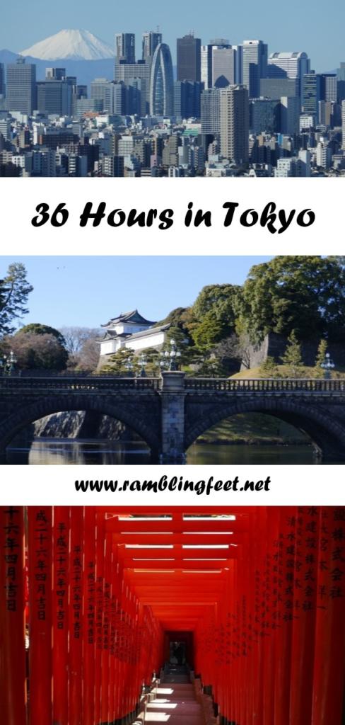 36hourstokyo 3