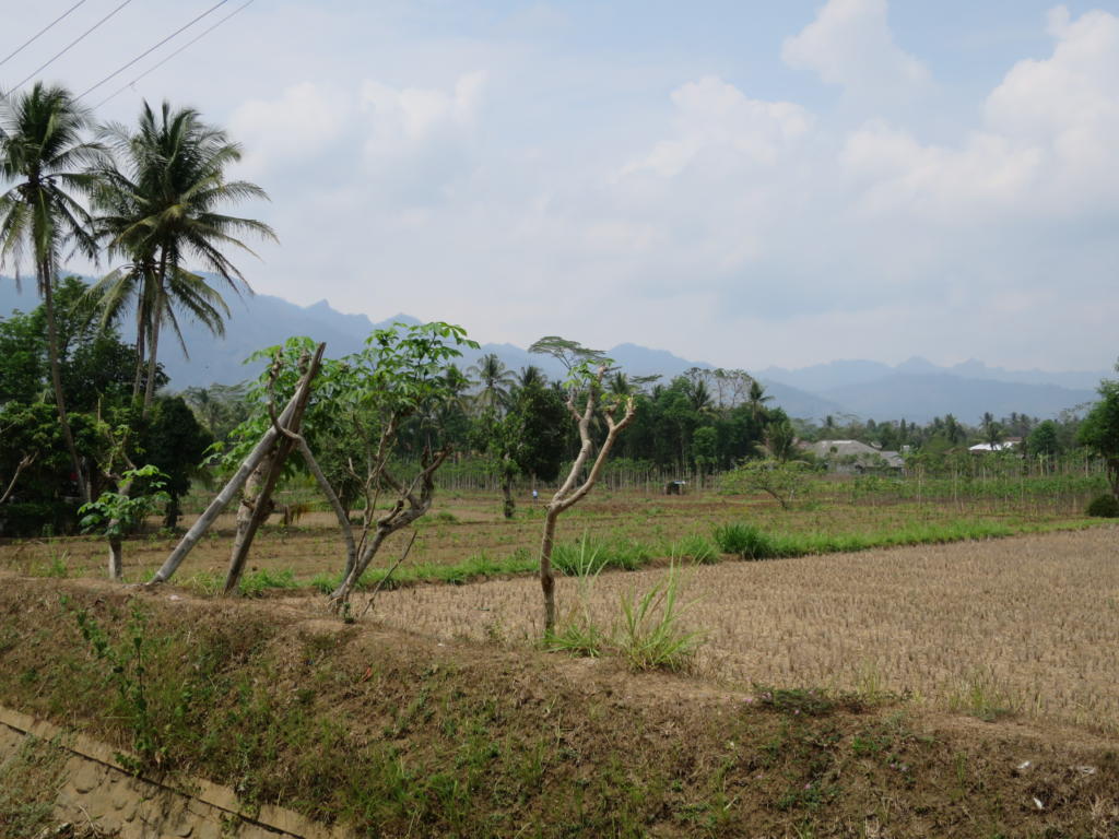 Mendut, Pawon and Tempeh: What’s Fun Around Borobudur
